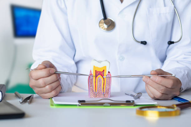 Best Emergency Treatment for Dental Infections or Abscesses in Roxborough Park, CO